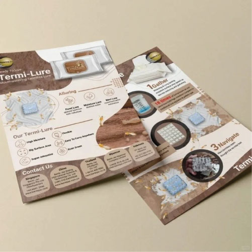 Flyer Design Malaysia 8 Creative Flyer Design Service by Dream Design Studio