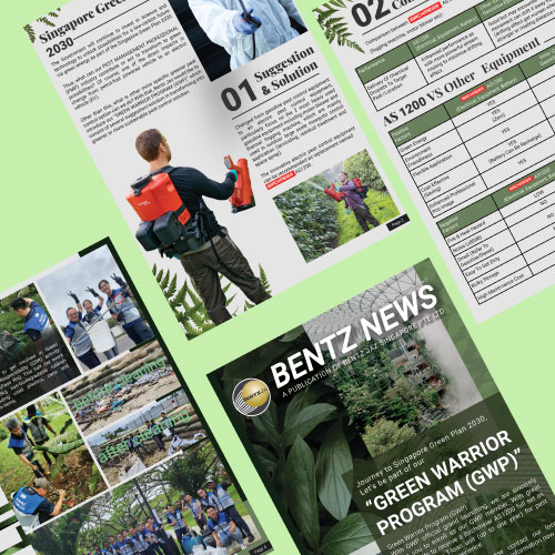 Design Malaysia –Professional Ways Creative Layouts Elevate Branding 2025 2 Flyer Design Malaysia-DreamDesignStudio