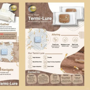 Creative Flyer Design Service by Dream Design Studio