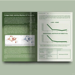 Flyer Design Services Malaysia 2025 by DreamDesignStudio