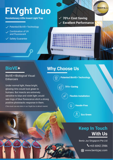 Flyer Design Malaysia – Custom Marketing Flyer by DreamDesignStudio