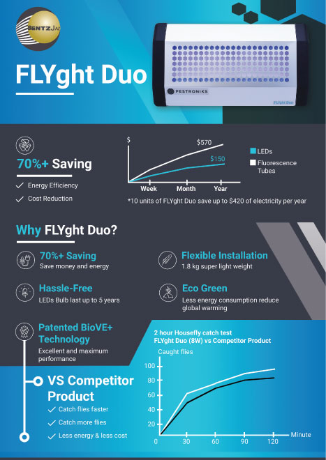 Flyer Design Malaysia – Custom Marketing Flyer by DreamDesignStudio
